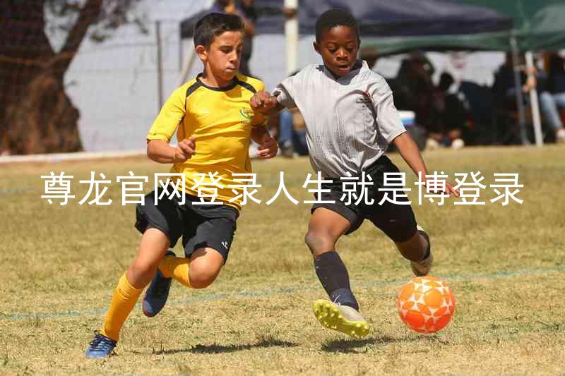 尊龙官网登录人生就是博登录