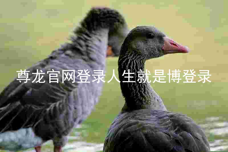 尊龙官网登录人生就是博登录